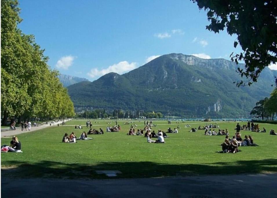 アヌシーLa Petite Venise Des Alpes, Ultra Centre 1 A 5 Persアパートメント エクステリア 写真