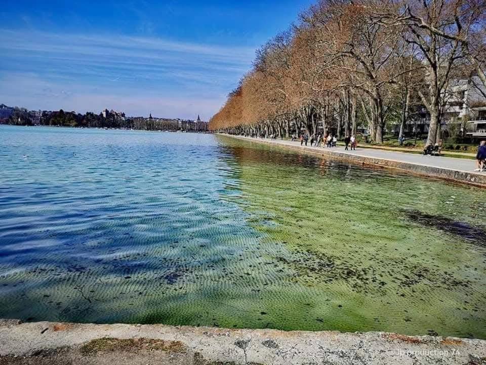 アヌシーLa Petite Venise Des Alpes, Ultra Centre 1 A 5 Persアパートメント エクステリア 写真