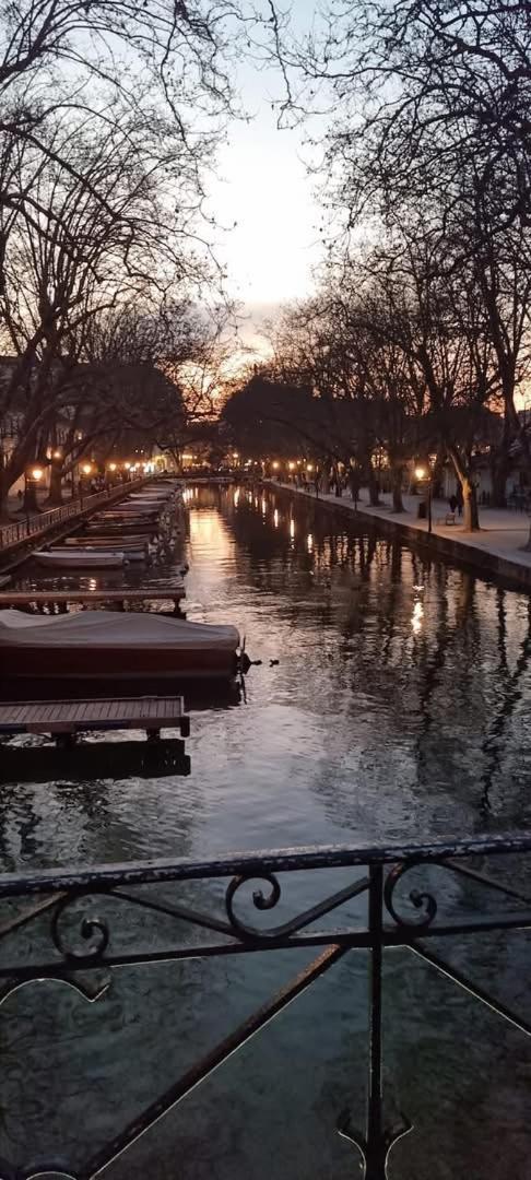 アヌシーLa Petite Venise Des Alpes, Ultra Centre 1 A 5 Persアパートメント エクステリア 写真
